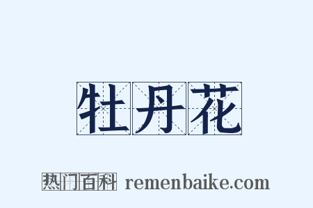 牡丹花是什么意思的图片